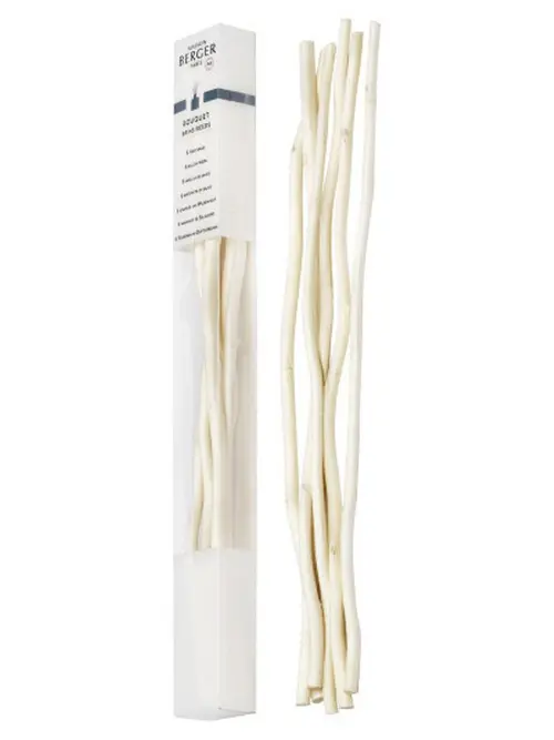 Étui de 6 brins de saule Maison Berger Paris - 24 cm
