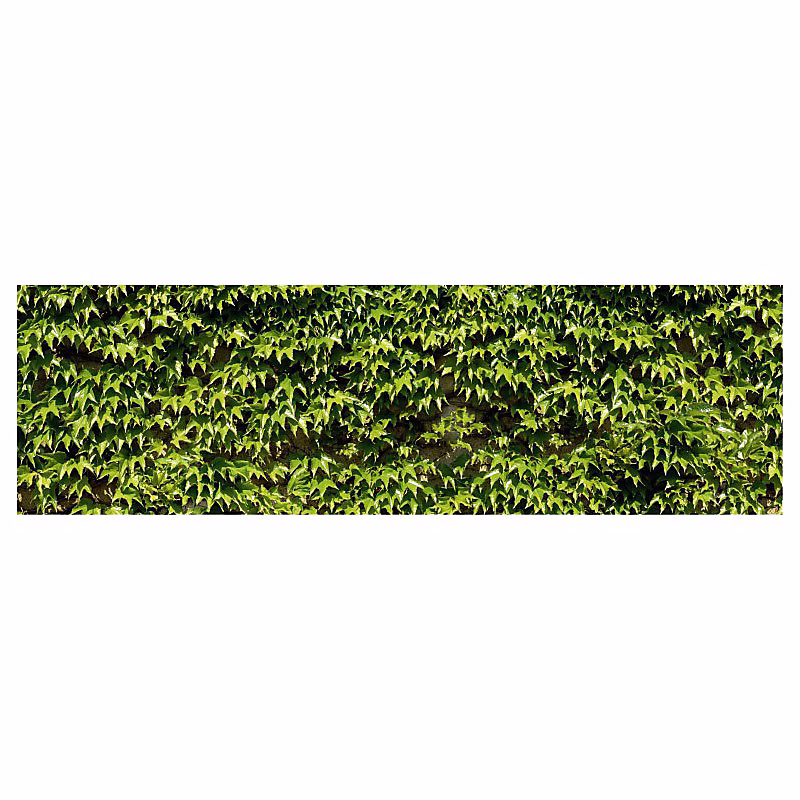 Brise vue imprimé VIGNE VIERGE – H.1.5 x L.5 m, 100% occultant, Made in France par Scenolia + kit de fixation offert