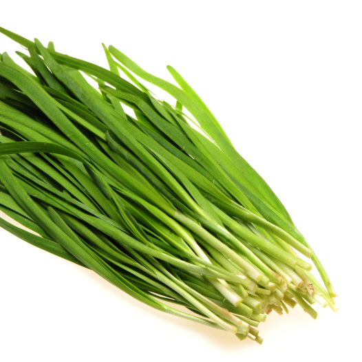 Poireau Perpétuel | Plants Bio