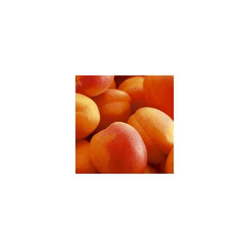 Abricotier Rouge Tardif Delbard ®Delmast. Le pot de 12 litres, forme gobelet