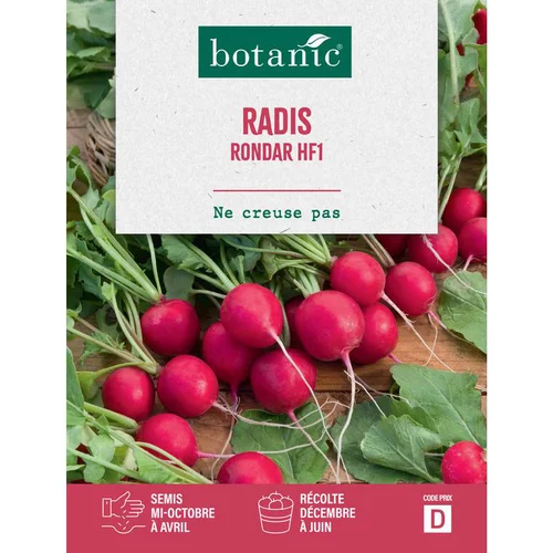 Graines de radis rondar HF1 botanic® - graines à semer
