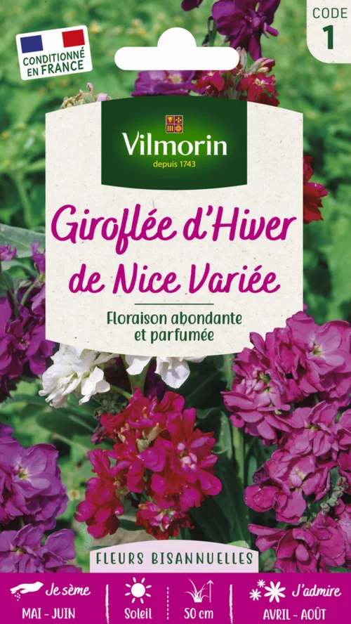 Graines de Giroflée d’hiver de Nice variée Vilmorin - graines à semer