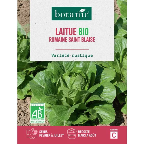 Graines de laitue romaine Saint Blase bio botanic® - graines à semer