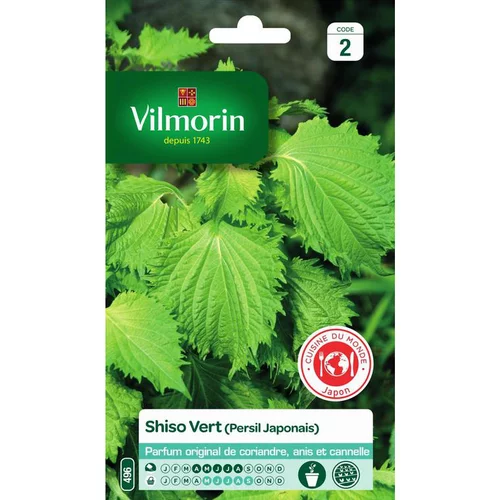 Graines de shiso vert Vilmorin - graines à semer