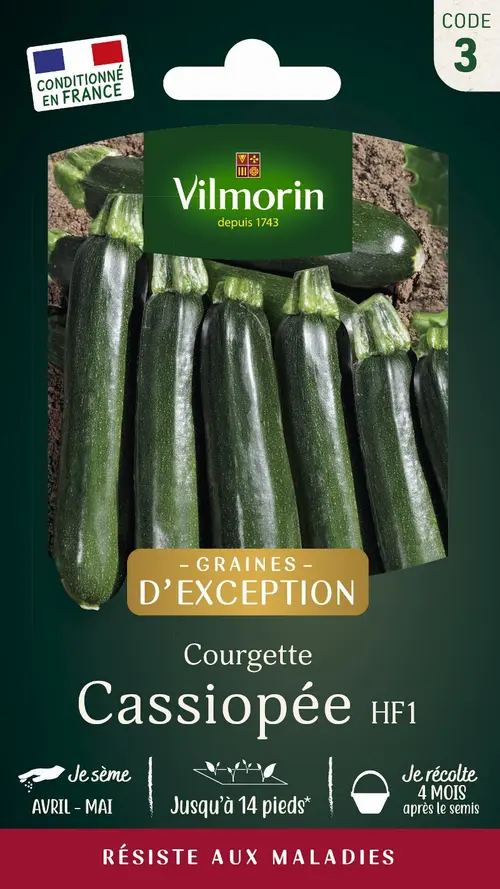 Graines de courgette cassiopee coloris vert Vilmorin jardin - graines à semer