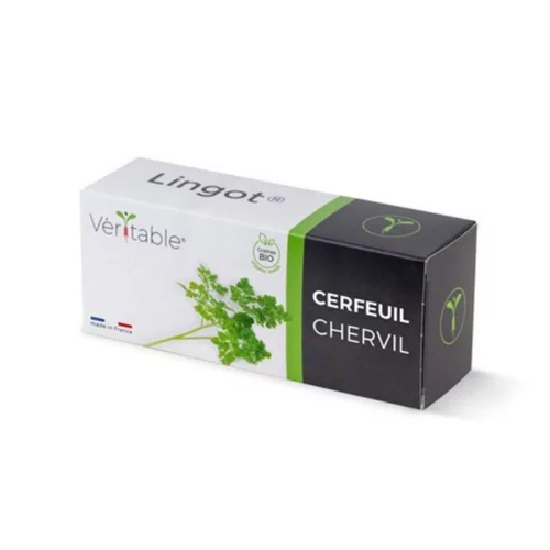 Lingot Cerfeuil bio pour potager Véritable