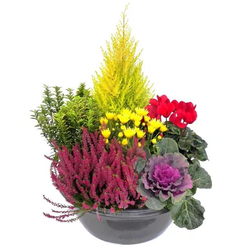 Composition D'Exterieur Theme rouge - La coupe de 45 cm