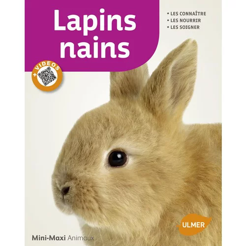 Lapins Nains 65 pages 17 vidéos Éditions Eugen ULMER