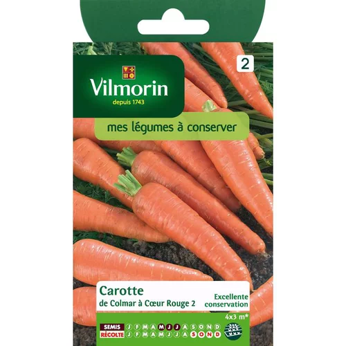 Graines de carotte de Colmar à cœur rouge Vilmorin - graines à semer