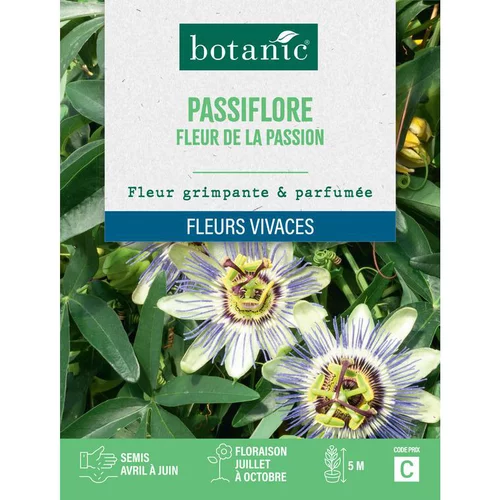 Graines de fleurs de Passiflore fleur de la passion botanic®