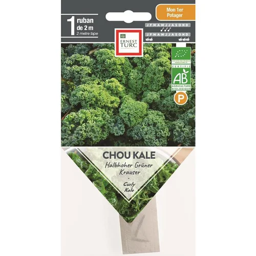 Graines présemées de Chou kale Halbhoher grüner krauser bio Ernest turc - 1 ruban de 2 m