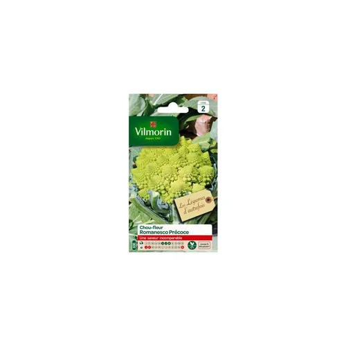 Graines de Chou-fleur Romanesco précoce Vilmorin Légumes d’autrefois - graines à semer