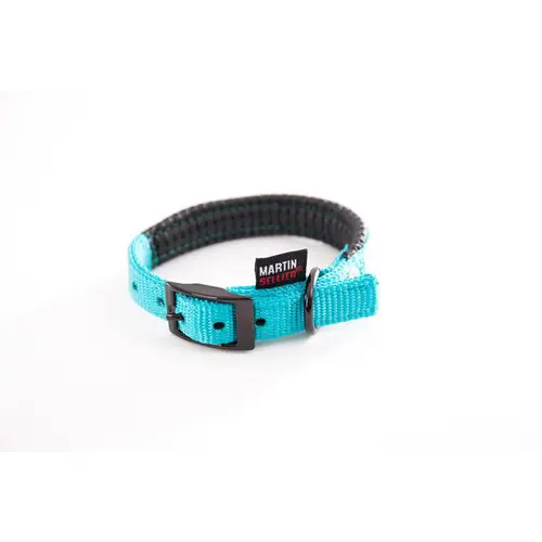 Collier droit Confort pour chien coloris turquoise - 2,5x55 cm