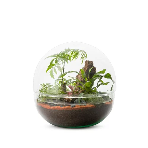 Terrarium Bulle de Nature Mini Monde en verre transparent Naturalys taille L - Ø 27 x 27 cm