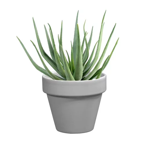 Pot horticole émaillé gris Ø 10 cm