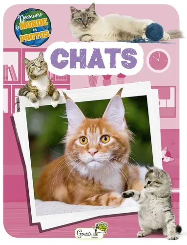 Livre "Chats - découvre le monde en photos" aux Éditions Grenouille
