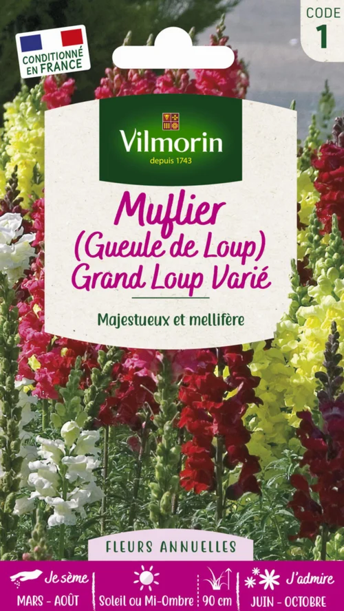 Graines de Muflier Grand Loup varié Vilmorin - graines à semer