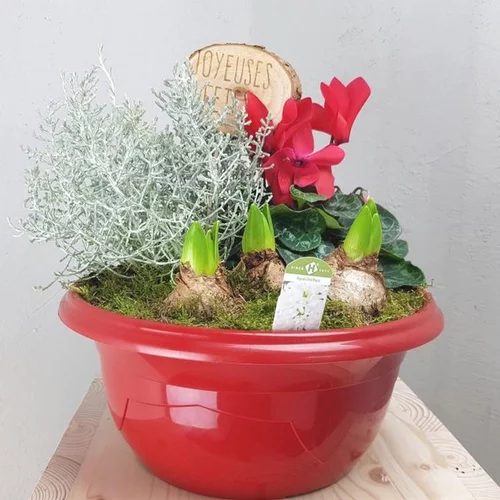 Composition d’automne rouge pour extérieur - La coupe de 27 cm