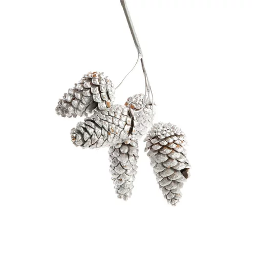 Bouquet de 5 pommes de pin tigées teintées argent pour décoration de Noël