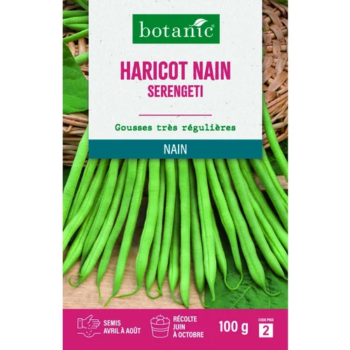 Graines d'haricot nain serengeti botanic® - graines nain semer