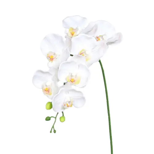 Orchidée Phalaenopsis artificielle à 7 fleurs crème - 38 cm