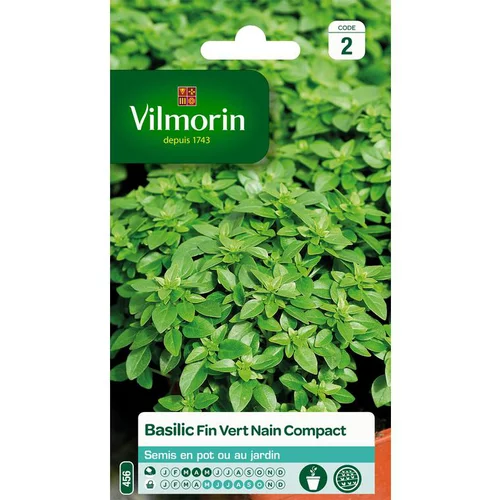 Graines de basilic fin vert nain compact Vilmorin - graines à semer