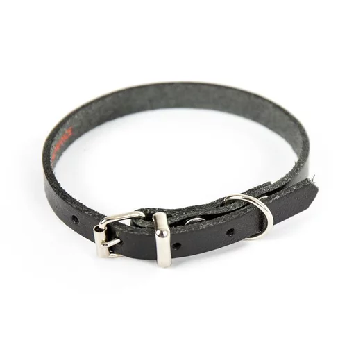 Collier en cuir noir pour chien 1,6x40 cm