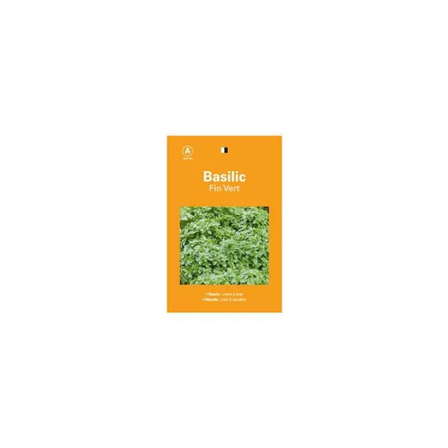 Graines de basilic fin vert sélection premier prix - graines à semer