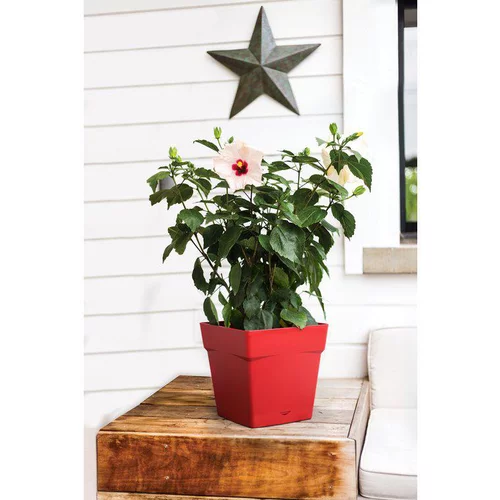 Pot carre Toscane Rouge rubis L24,8 x l24,8 x H24
