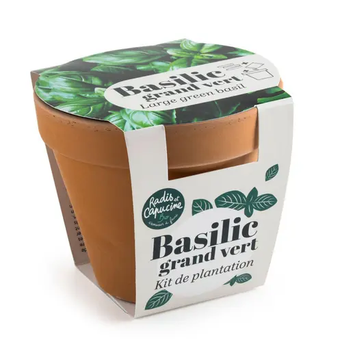 Kit de semence potager pot terre cuite antique basilic grand vert bio Radis & Capucine