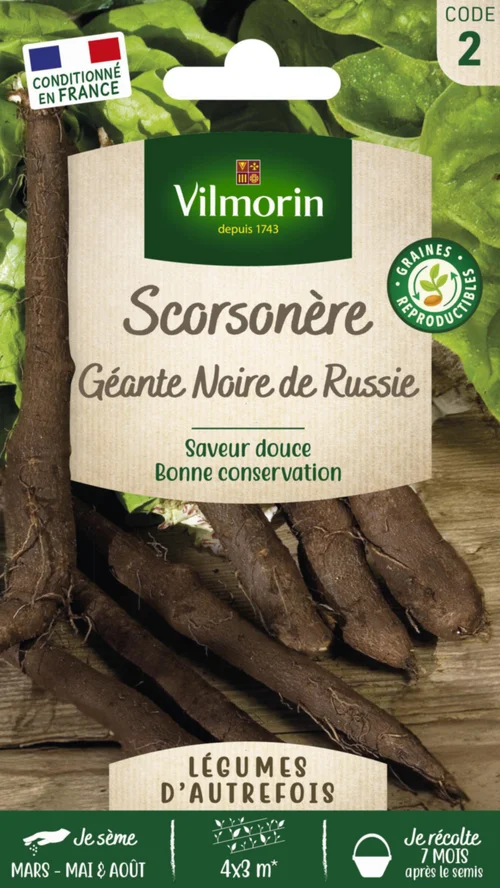 Scorsonère Géante Noire de Russie Vilmorin - graines à semer