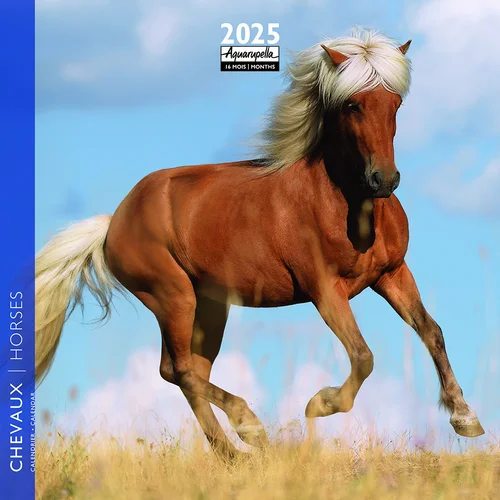 Calendrier 2025 chevaux coloris multicolore Aquarupella - 16,5 x 16,5 cm