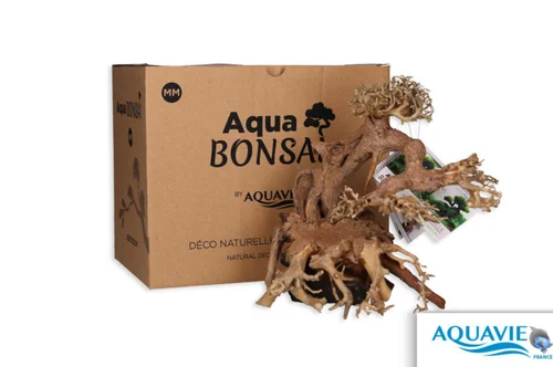 Bonsaï pour aquascaping coloris marron Aquavie - 24 x 20 x 16 cm