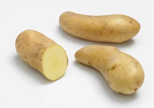 Sachet de pommes de terre ratte calibre 25/32 Clisson - 1,5 kg