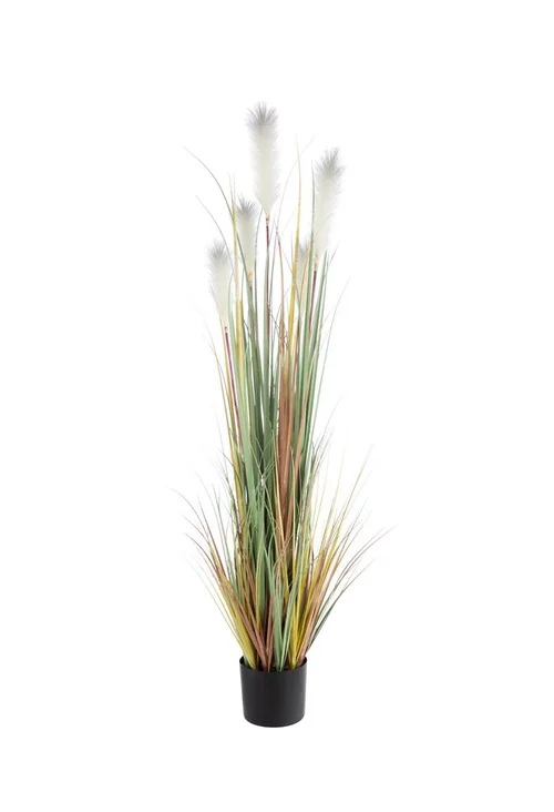 Pot de roseaux coloris blanc - 205 x 22 x 20 cm