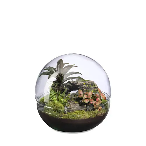 Terrarium autonome Mini Monde Landscape botanic® - taille L