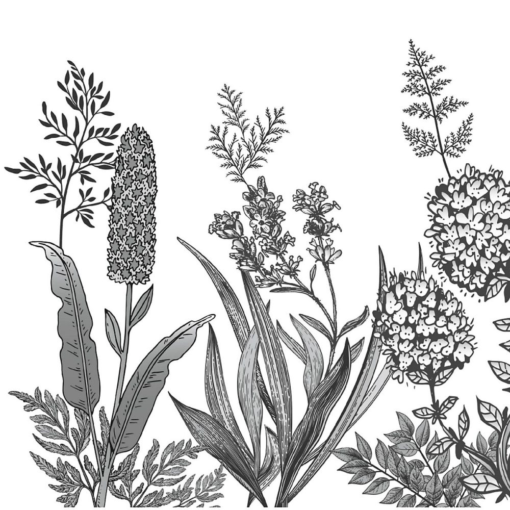 Crédence de cuisine auto-adhésive Caméléo design champ fleuri noir et blanc l. 200 cm x H. 40 cm x ép. 0 – 2 mm