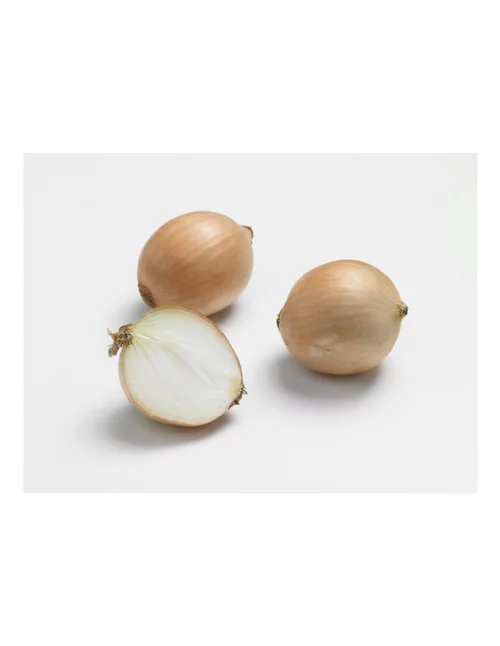 Oignon Sturon AB bio calibre 10/21 botanic® bulbes à planter - Le filet de 500 g