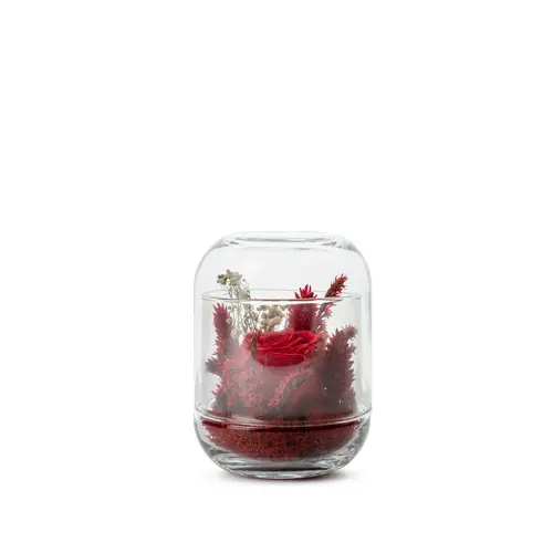 Verrine de végétaux stabilisés coloris rouge Naturalys Capsule - Ø 8 x H 12 cm