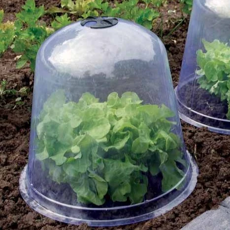3 Cloches de forçage