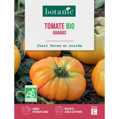 Graines de Tomate bio Ananas botanic® - graines à semer