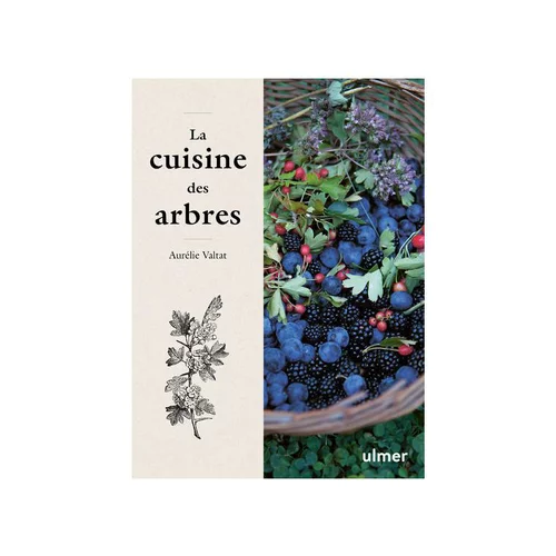 Livre La cuisine des arbres aux Éditions Ulmer - 141 pages