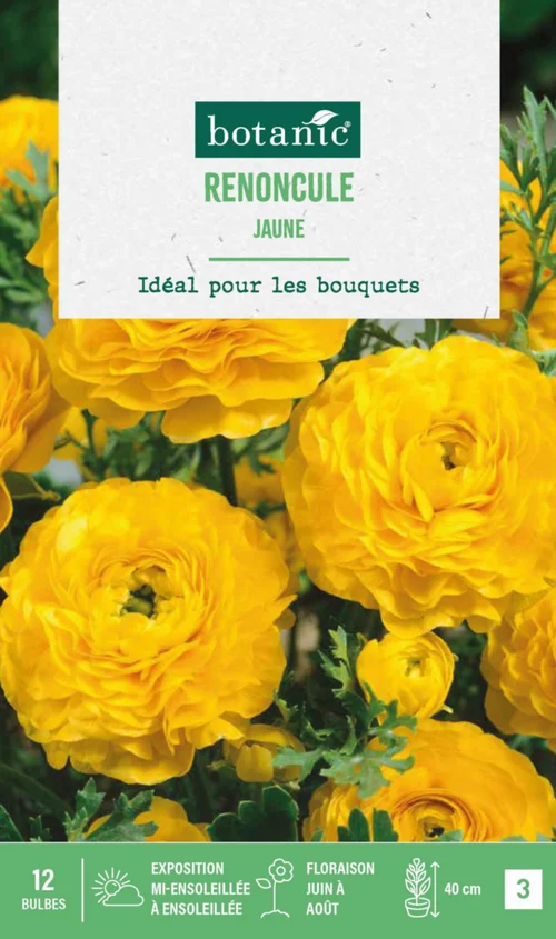 Renoncule coloris jaune botanic® - 12 bulbes