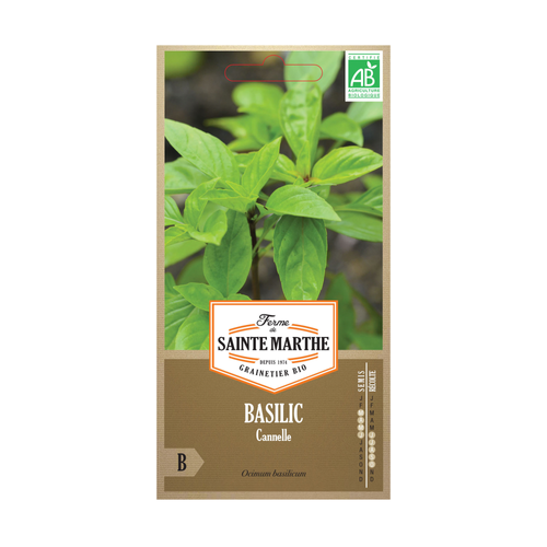GRAINES BASILIC CANNELLE BIO