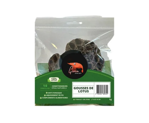 Gousses de lotus pour crevettes Gioiashrimp