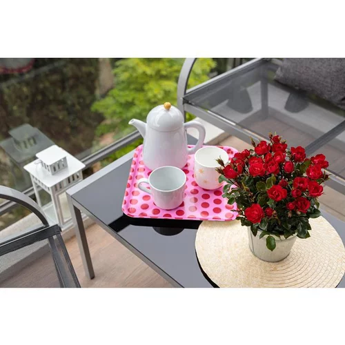Rosier Zepeti® Meibenbino – C2
