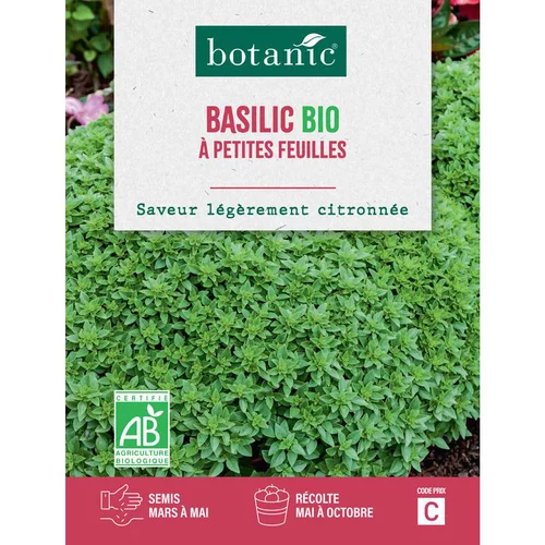 Graines de basilic à petites feuilles bio botanic® - graines à semer