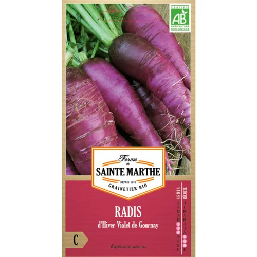 Graines de Radis bio Violet de Gournay Ferme Sainte Marthe - graines à semer