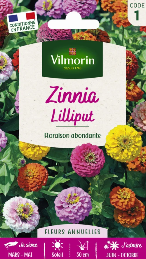 Zinnia Lilliput Vilmorin - graines à semer