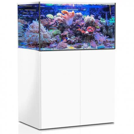 Aquarium de 325 litres avec son meuble et sa cuve de filtration d'un volume de 55 litres